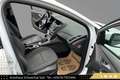 Ford Focus 1,6 TDCi Sync Edition // PICKERL BIS 08/2026 // Weiß - thumbnail 15