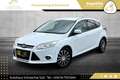 Ford Focus 1,6 TDCi Sync Edition // PICKERL BIS 08/2026 // Weiß - thumbnail 12