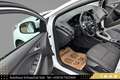 Ford Focus 1,6 TDCi Sync Edition // PICKERL BIS 08/2026 // Weiß - thumbnail 11
