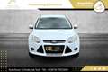 Ford Focus 1,6 TDCi Sync Edition // PICKERL BIS 08/2026 // Weiß - thumbnail 5