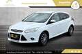 Ford Focus 1,6 TDCi Sync Edition // PICKERL BIS 08/2026 // Weiß - thumbnail 1