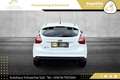 Ford Focus 1,6 TDCi Sync Edition // PICKERL BIS 08/2026 // Weiß - thumbnail 6