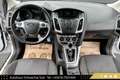 Ford Focus 1,6 TDCi Sync Edition // PICKERL BIS 08/2026 // Weiß - thumbnail 10