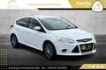Ford Focus 1,6 TDCi Sync Edition // PICKERL BIS 08/2026 // Weiß - thumbnail 3