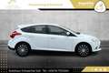 Ford Focus 1,6 TDCi Sync Edition // PICKERL BIS 08/2026 // Weiß - thumbnail 7