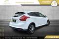 Ford Focus 1,6 TDCi Sync Edition // PICKERL BIS 08/2026 // Weiß - thumbnail 9