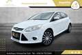 Ford Focus 1,6 TDCi Sync Edition // PICKERL BIS 08/2026 // Weiß - thumbnail 8