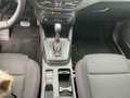 Ford Focus ST-Line X AHK. Pano. Winter-P. Rückf. Grau - thumbnail 20