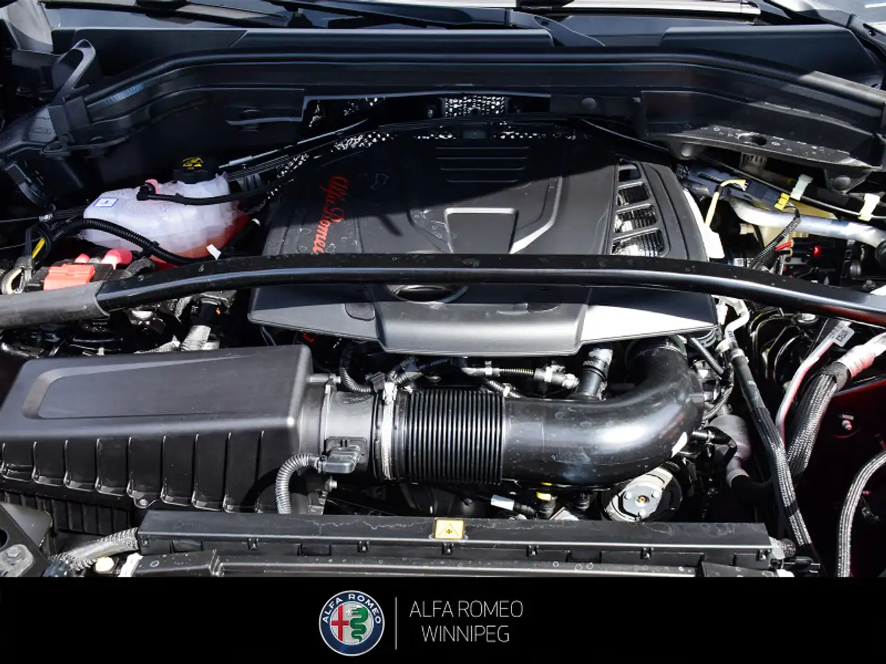 Alfa Romeo Stelvio fotografie Alfa Romeo Stelvio
