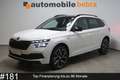 Skoda Kamiq 1.5TSI DSG Monte Carlo LED SHZ Pano Weiß - thumbnail 1