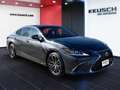 Lexus ES 300 h Business Line Aut. Grau - thumbnail 16