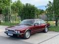 Jaguar Daimler JAGUAR-DAIMLER XJ 40 \H\-ISTORIC DREAM-CAR Roşu - thumbnail 2