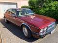 Jaguar Daimler JAGUAR-DAIMLER XJ 40 \H\-ISTORIC DREAM-CAR Roşu - thumbnail 8