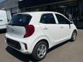 Kia Picanto 1,0 MPI Titan Weiß - thumbnail 2