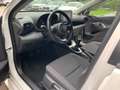 Toyota Yaris 1.0 BUSINESS NROPATENTATO Blanc - thumbnail 12