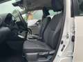 Toyota Yaris 1.0 BUSINESS NROPATENTATO Blanc - thumbnail 13