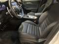 Alfa Romeo Tonale Tonale 1.5 hybrid Veloce 160cv tct7 Bianco - thumbnail 10
