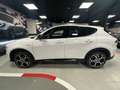 Alfa Romeo Tonale Tonale 1.5 hybrid Veloce 160cv tct7 Bianco - thumbnail 3