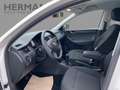 Skoda Rapid/Spaceback Rapid 1.2 TSI Ambition SHZ*PDC*PDC*SHZ Weiß - thumbnail 7