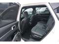 Kia Sorento 2.2 CRDi AWD Platinum DCT8 Pano Bose LED ACC Navi Beyaz - thumbnail 27