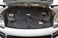 Porsche Cayenne Aut. Blanco - thumbnail 19