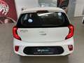 Kia Picanto Picanto 1.0 12V 5 porte AMT Style CONFORT PACK Blanc - thumbnail 6