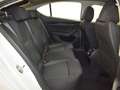 Skoda Octavia 2.0TDI Ambition Plus 85kW Blanco - thumbnail 9