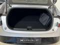 Xpeng P7 Performance AWD 348kW Gris - thumbnail 23