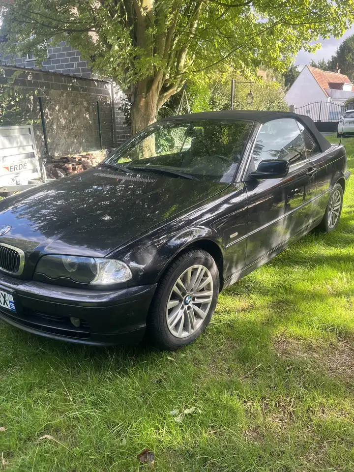 BMW 323