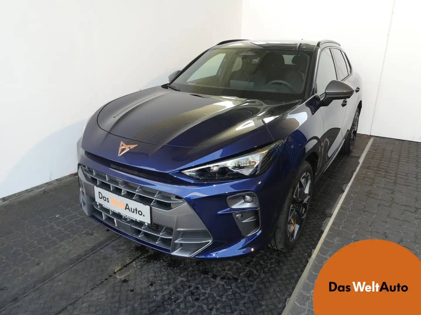 CUPRA Terramar 2.0 TSI 204 PS DSG 4Drive Blau - 1