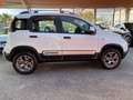 Fiat Panda 1.3 mjt 16v Cross 4x4 MULTIFUNZIONE LEGA PERFETTA Bianco - thumbnail 4