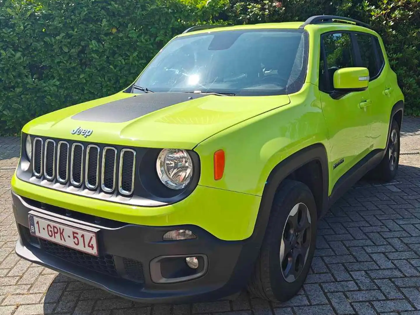 Jeep Renegade Renegade 1.6 E-torQ Longitude Vert - 1