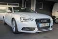 Audi A5 3.0 V6 TDI 245CH AMBITION LUXE QUATTRO S TRONIC 7 Weiß - thumbnail 3