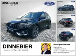 Ford Other ST Line X LED+360°Kamera+AHK+Winterpaket