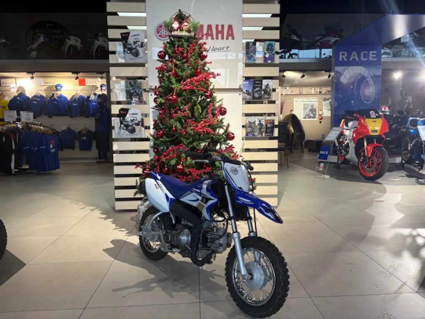 Yamaha TTR 50 Blauw - 2