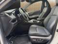 Toyota RAV 4 2.5 Hybrid 4x4 Style Navi JBL 360-Kamera Weiß - thumbnail 8