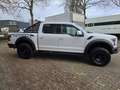 Ford 150 RAPTOR USA 3.5 V6 ECOBOOST SUPER CREW EX BTW Білий - thumbnail 6