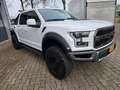 Ford 150 RAPTOR USA 3.5 V6 ECOBOOST SUPER CREW EX BTW Білий - thumbnail 3