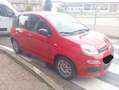 Fiat Panda Panda  1.0 firefly hybrid City Life s Rouge - thumbnail 6