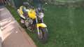 Honda Hornet Giallo - thumbnail 3