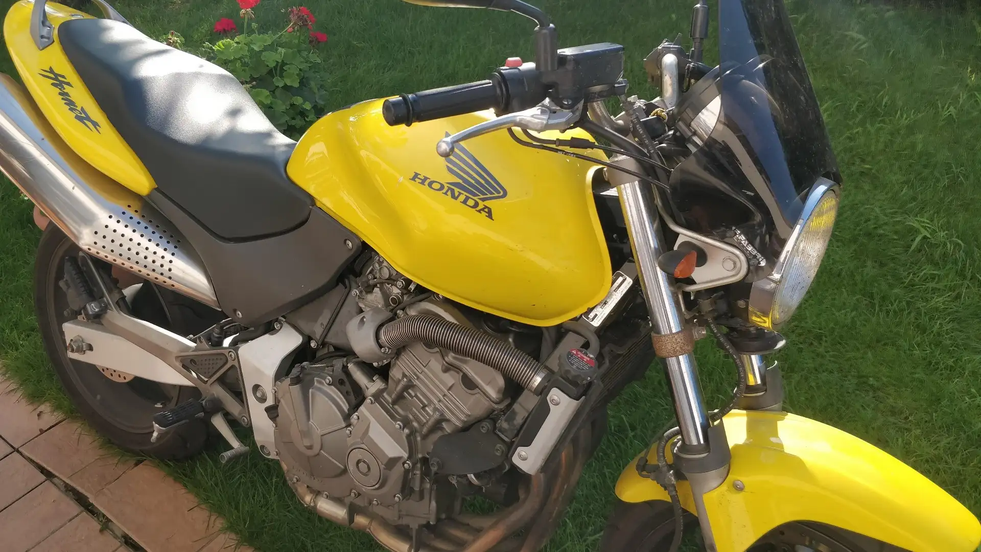 Honda Hornet Giallo - 2