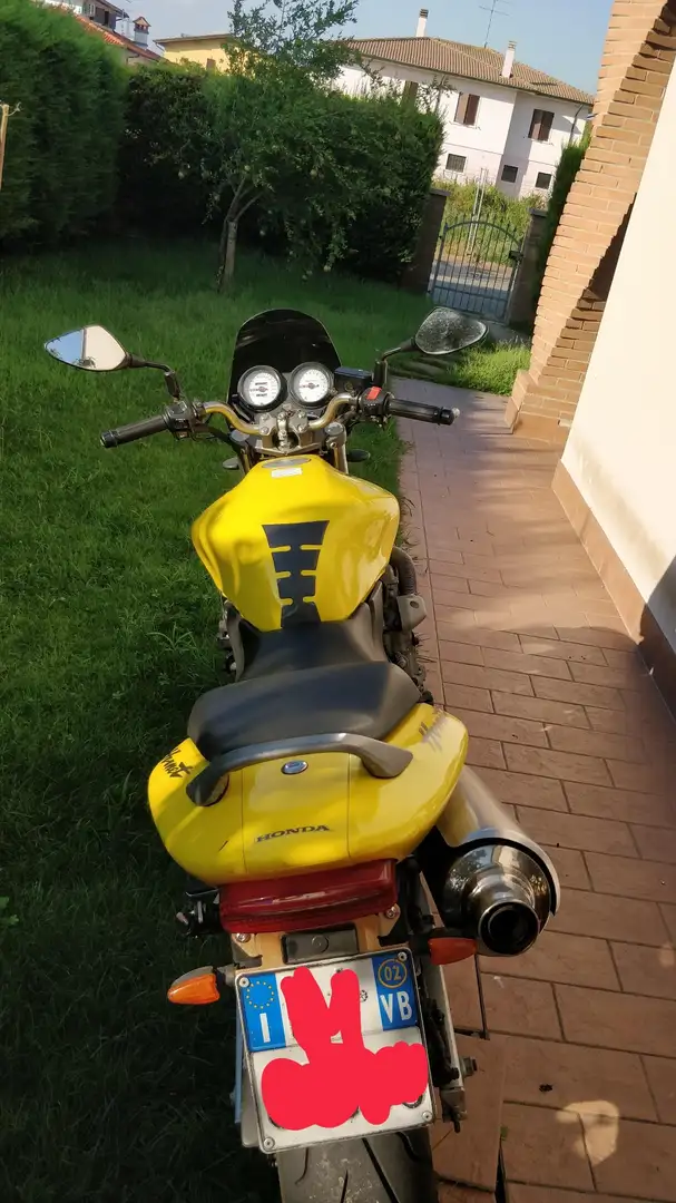 Honda Hornet Giallo - 1