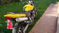 Honda Hornet Giallo - thumbnail 6