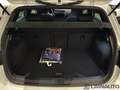 Volkswagen Golf GTI GOLF GTI PERFORMANCE 2.0 TSI 5 PORTE MANUALE BLUE Bianco - thumbnail 9