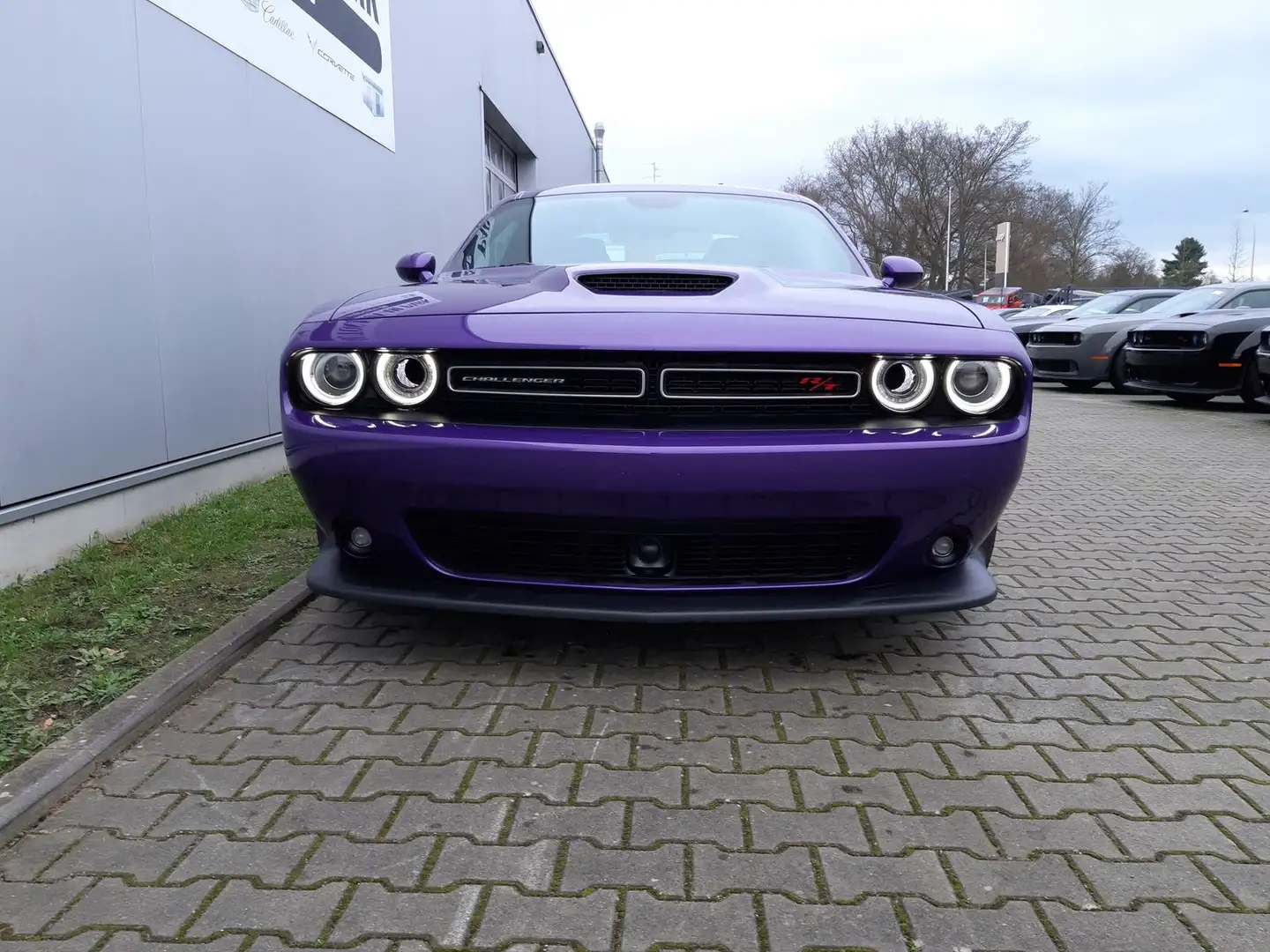 Dodge Challenger R/T 5.7 HEMI V8 | Last Call Burdeos - 2