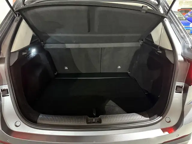 MG ZS view 11