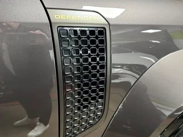 Land Rover Defender view 8