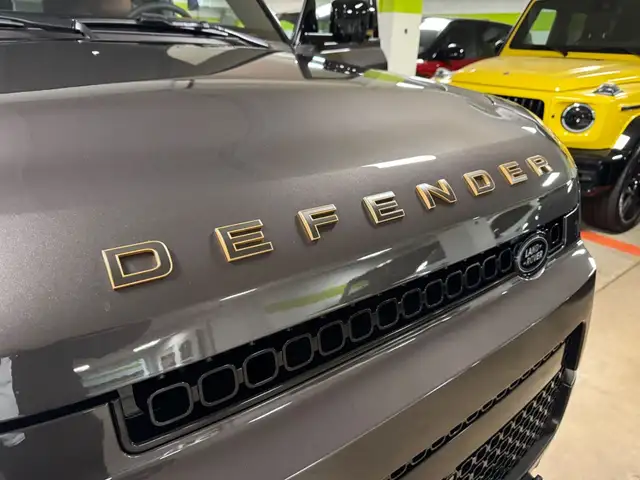 Land Rover Defender view 14