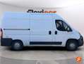 Fiat Ducato 96 kW / 131 CV Blanco - thumbnail 8