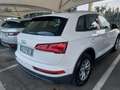 Audi Q5 35 TDI S tronic  hybrid-diesel 58000 Fatturabile Weiß - thumbnail 31